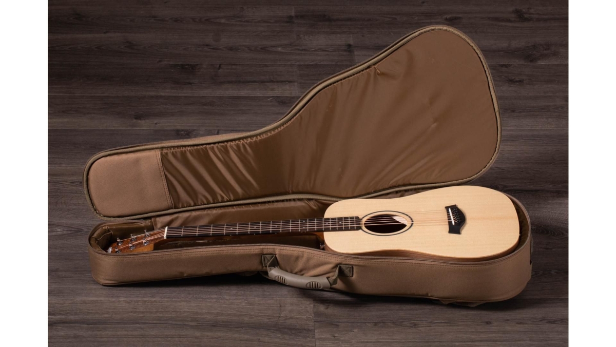 Taylor BT1e